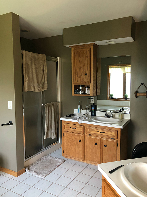 Main Bathroom Before Vanity/Shower View