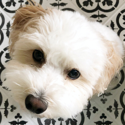 Stenciled Floor Update | How Well Does A Painted Tile Floor Hold Up?