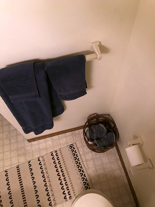 Outdated Towel Rack and Toilet Paper Holder