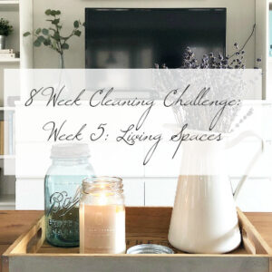 8 Week Cleaning Challenge- Week 5 Cleaning Living Spaces