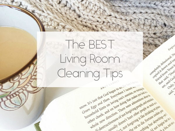 Living Room Cleaning Tips Title Image