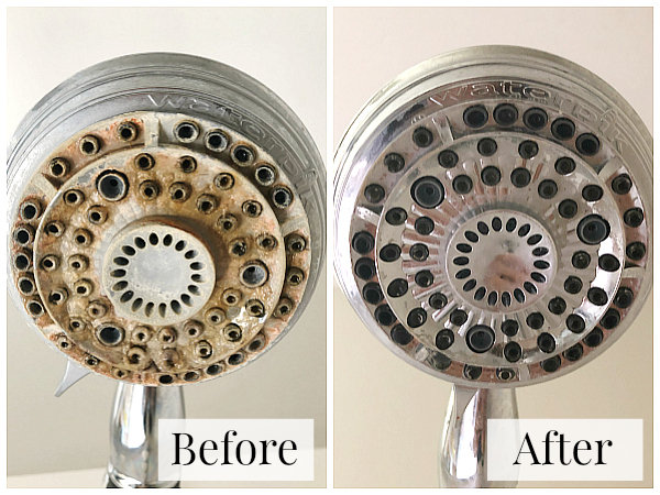 Cleaning A Shower Head Before and After. Left- Disgustingly dirty shower head with iron colored scum and hard water deposits. Right- perfectly clean and shiny shower head after cleaning with vinegar