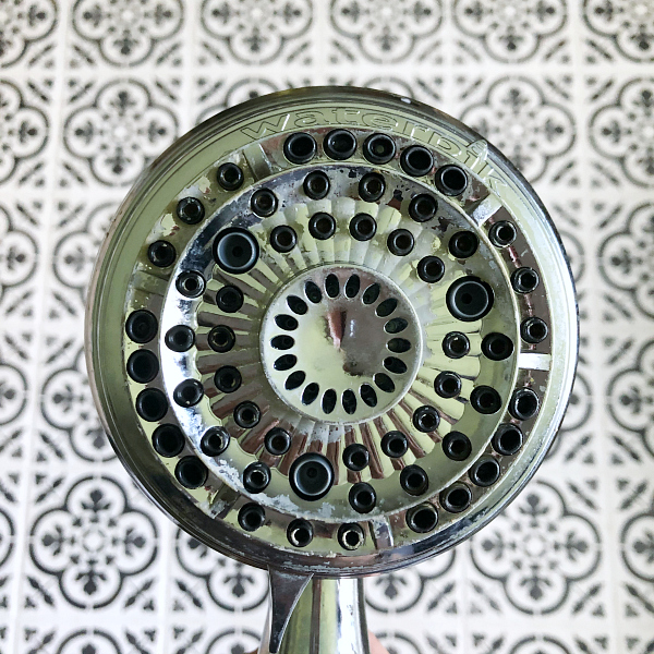 How to Clean a Shower Head After Image. Perfectly clean shower head after cleaning it with vinegar