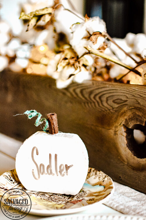 DIY Dry Erase Pumpkins from Salvaged Living