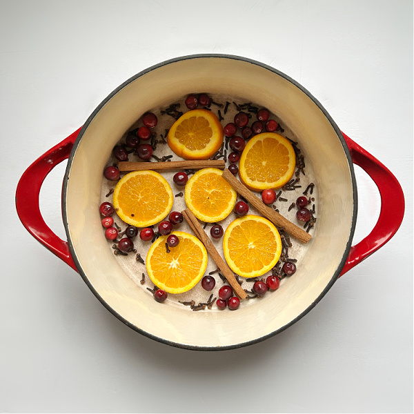 Ingredients for Christmas Simmer Pot in Stock Pot