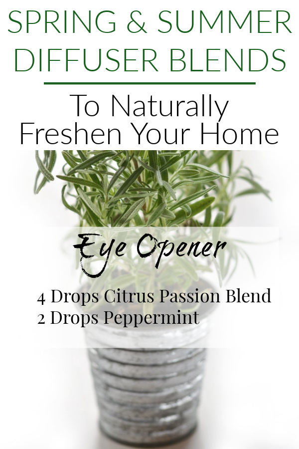 Spring & Summer diffuser blend using a combination of citrus and mint