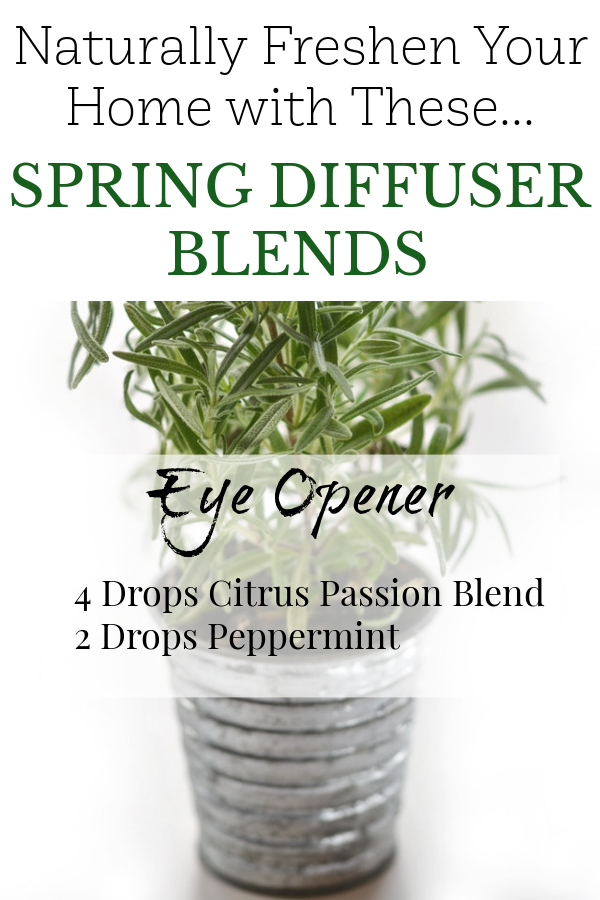 Spring diffuser blend using a citrus blend and peppermint