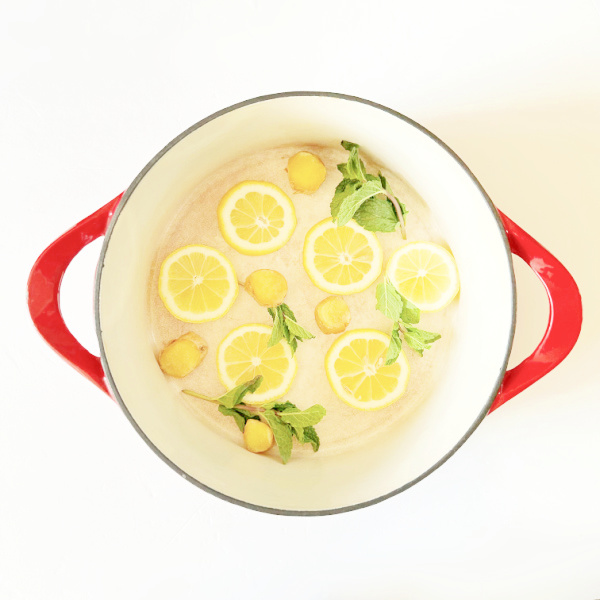 Sliced lemon, fresh mint leaves and ginger root in simmer pot