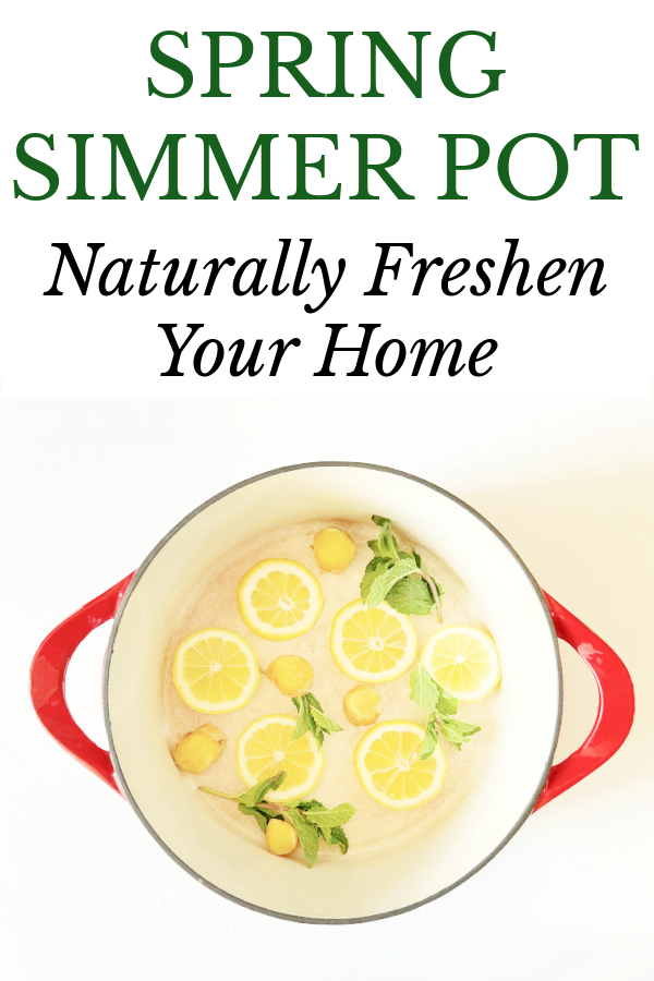 Lemon slices, mint leaves and ginger in a red pot