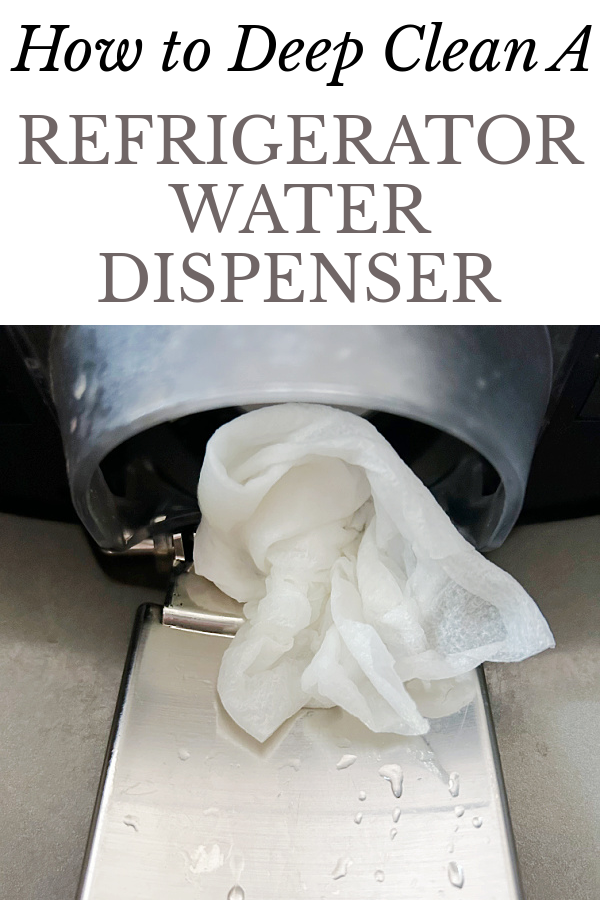 How to Clean A Refrigerator Water Dispenser & Drip Tray - Lemons ...