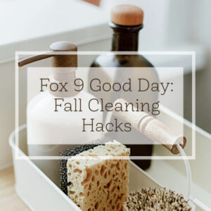 Fox 9 Good Day: Fall Cleaning Hacks