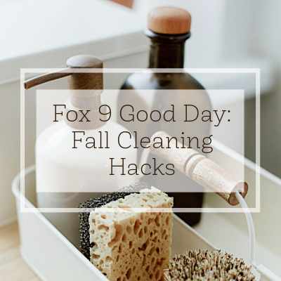 Fox 9 Good Day | Fall Cleaning Tips
